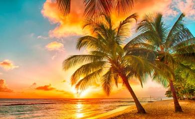 旅游綠皮書 2019~2020年中國國內(nèi)旅游業(yè)務發(fā)展分析與預測